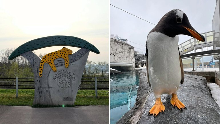 Japanese mayor describes ‘unprecedented crisis’ as man reportedly admits to burning wife’s body in zoo incinerator.