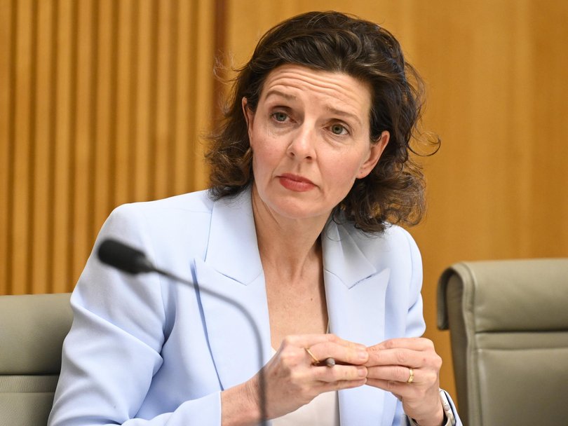 Allegra Spender’s Wentworth electorate is home to a large Jewish community. Picture: NewsWire / Martin Ollman