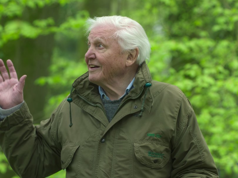 Put your hand up if you love David Attenborough!