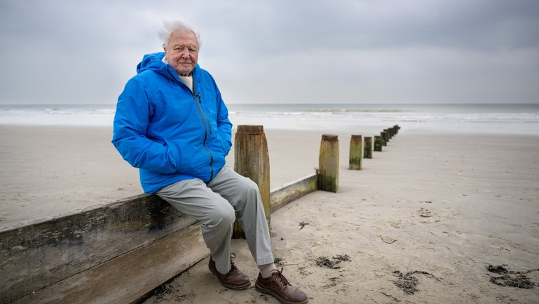 This Friday, May 8, David Attenborough will celebrate 100 remarkable years on Planet Earth. Few in history have had the impact of this iconic centenarian.