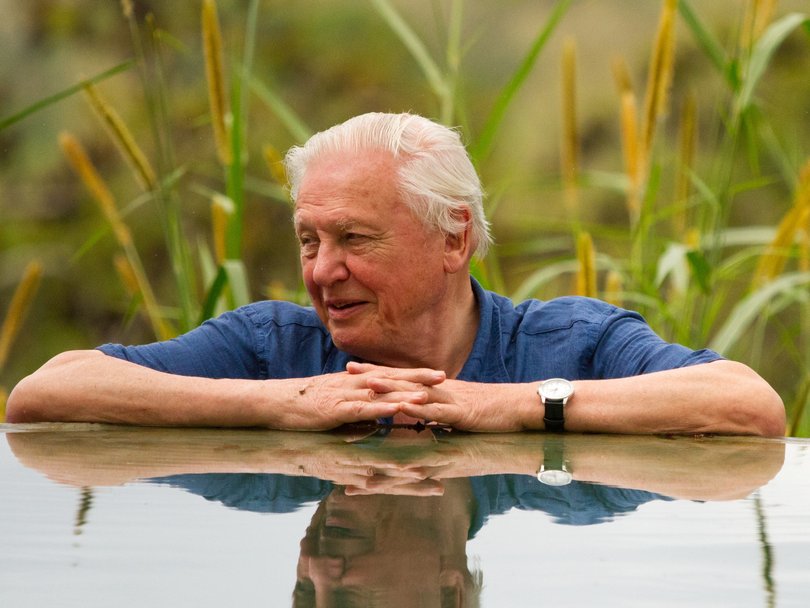 David Attenborough