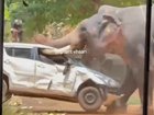 Wild footage shows the elephant throwing and overturning parked cars, after it had trampled a man to death.
