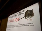 Hantavirus is a rare respiratory illness linked to the exposure of infected rodents’ urine and faeces.