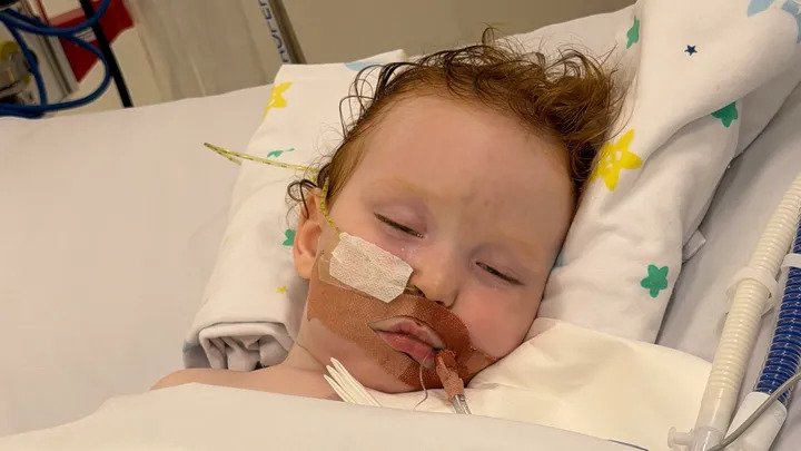 Dustin Wildman is in an induced coma in a Queensland hospital after inhaling gold dust used to decorate cakes.