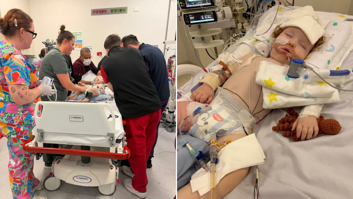 Toddler In Coma After Bluey Cake