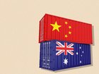 Australia should do more business with Western allies instead of China, one of Donald Trump’s top allies has said. 