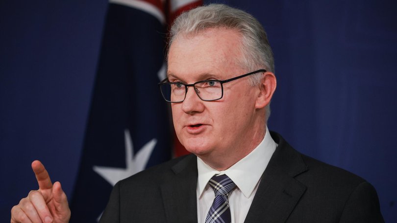 Home Affairs Minister Tony Burke has confirmed ISIS brides are on the way to Australia. 