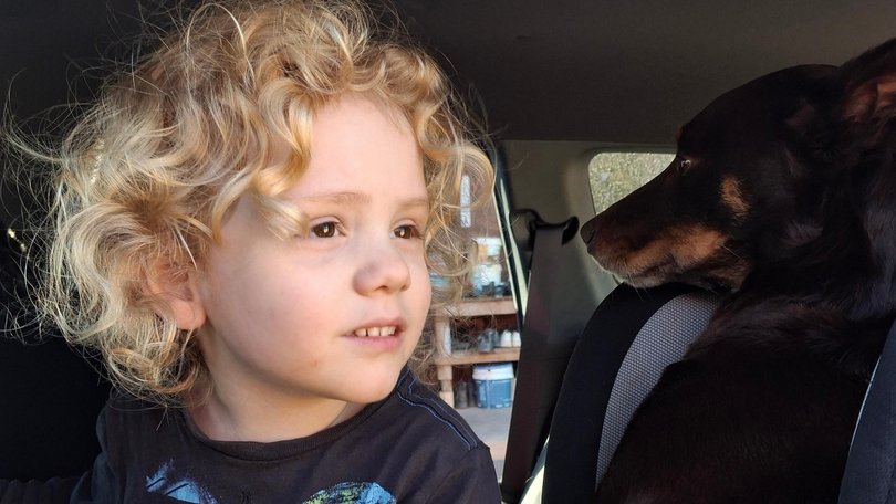 Four-year-old Gus Lamont disappeared from Oak Valley Station on September 27, 2025. 