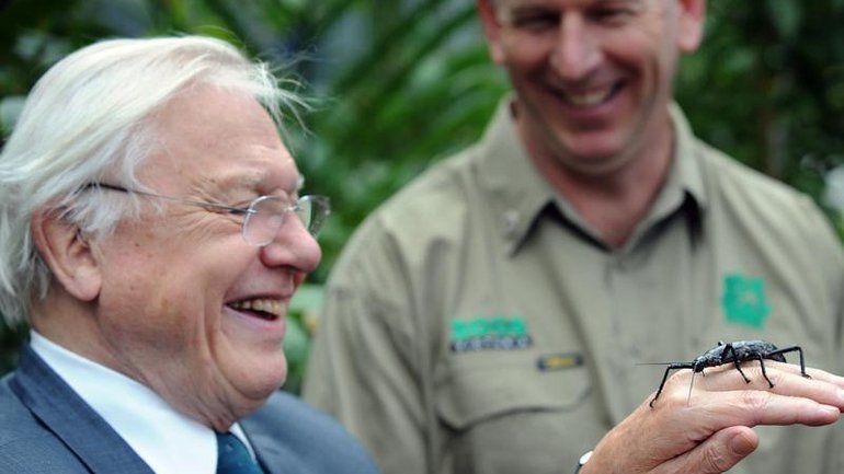 David Attenborough remains at the vanguard ?of efforts to protect the environment. (Joe Castro/AAP PHOTOS)