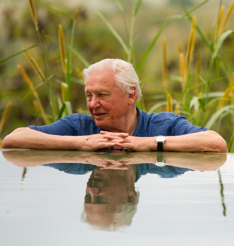 David Attenborough turns 100 on Friday, May 8.