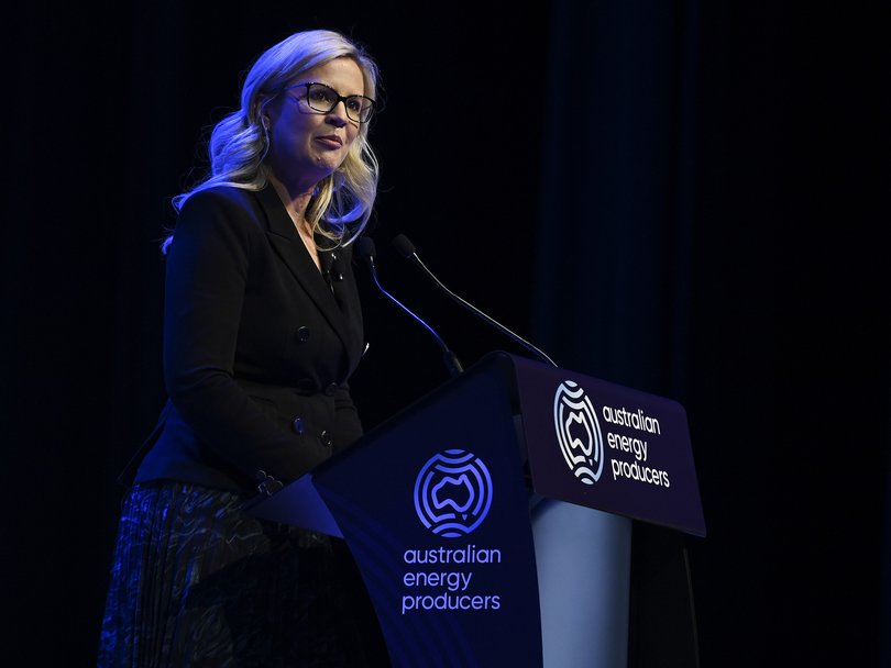Australian Energy Producers chief executive Samantha McCulloch said the new east coast gas reserve for Queensland LNG exporters would crowd out smaller domestic producers.
