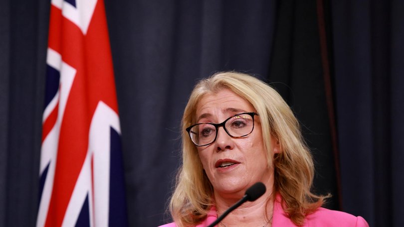 Treasurer Rita Saffioti. Picture: NewsWire /Philip Gostelow