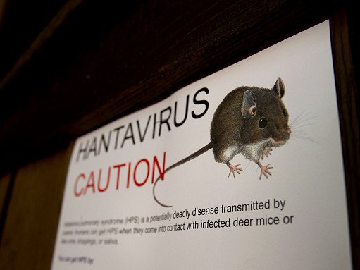 An outbreak of hantavirus aboard a cruise ship in the Atlantic Ocean has heightened concerns about the rare but deadly virus. Here’s what you should know.
