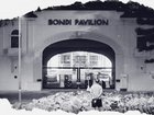 Bondi Royal Commission The Nightly