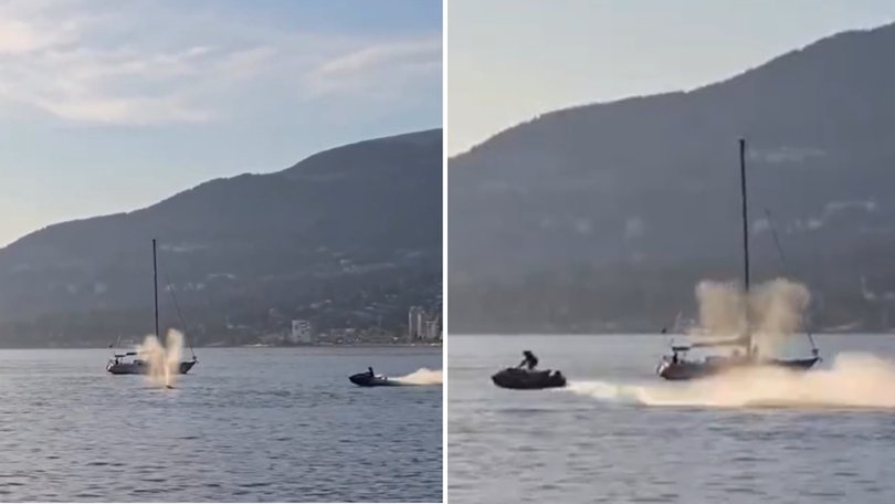 Crowds watching a grey whale near Vancouver’s Stanley Park were left horrified by what happened next.
