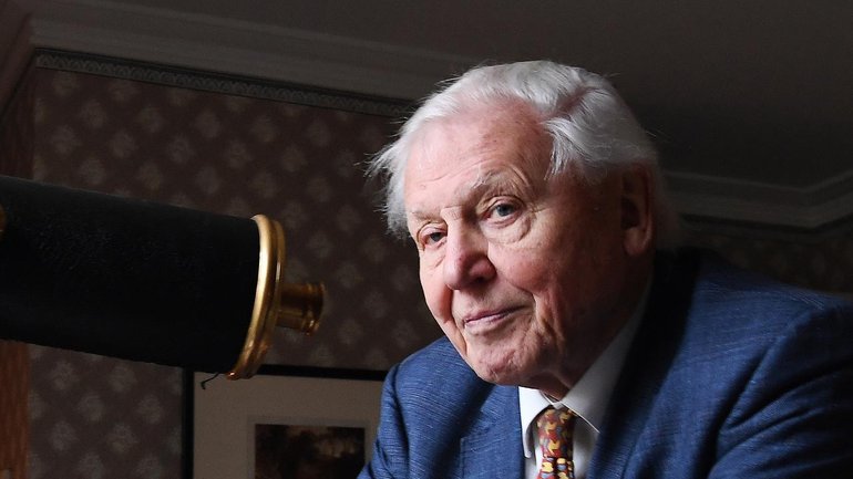 Sir David Attenborough has marked his 100th birthday, and for Australians the milestone highlights decades of connection with our country that shaped the world’s understanding of our wildlife and ecosystems.