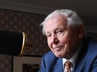 Sir David Attenborough has marked his 100th birthday, and for Australians the milestone highlights decades of connection with our country that shaped the world’s understanding of our wildlife and ecosystems.