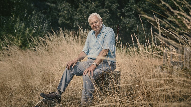 Shall we take David Attenborough’s 100th birthday as evidence that there is hope in the world, that we can, in popular parlance, have nice things?