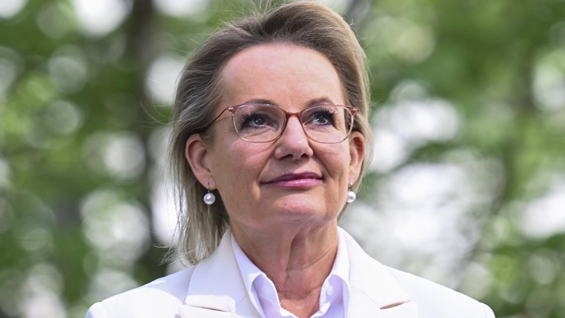 Independnet Michelle Milthorpe recorded a 20 per swing to her when she stood against Liberal leader Sussan Ley at last year’s election. Picture: NewsWire / Martin Ollman
