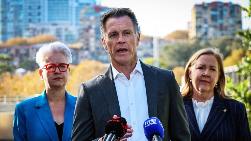 NSW Premier Chris Minns warned voters not to risk handing power over to a divided opposition. Picture: NewsWire / Nicholas Eagar