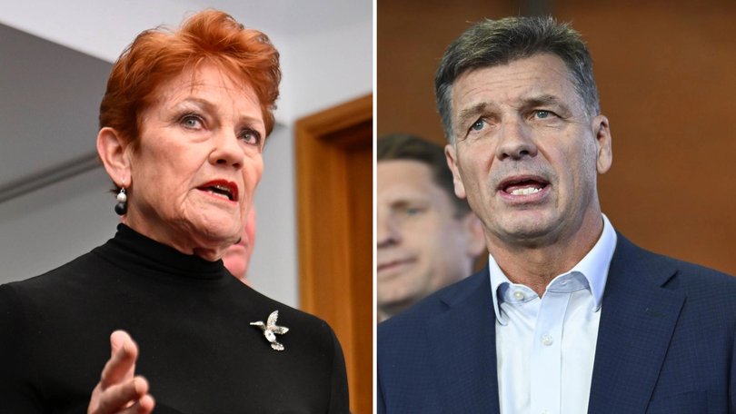 One Nation leader Pauline Hanson and Liberal leader Angus Taylor.