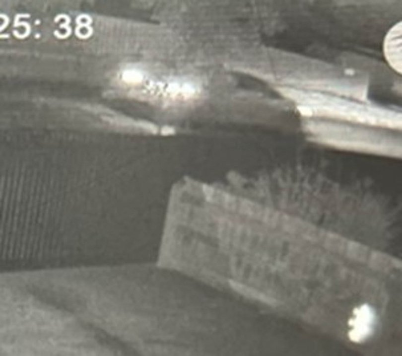 Police are appealing for assistance to locate the small, white sedan that hit Ms Kerr.