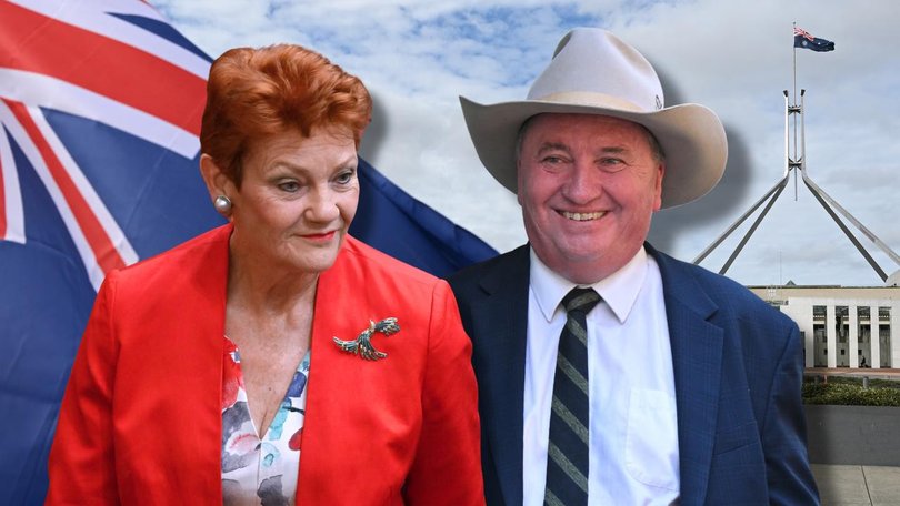 One Nation’s rise after Farrer victory sparks debate over Pauline Hanson’s political future.