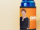 Anthony Albanese has accused the Liberal Party of trying to be “One Nation light”. 