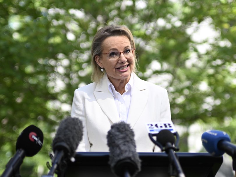Sussan Ley was the Liberal Party’s first female leader. 