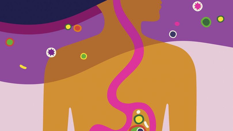 Scientists keep learning more about the connection between the brain and the gastrointestinal system. (Kari Modén/The New York Times) — FOR EDITORIAL USE ONLY WITH  SCI GUT BRAIN CONNECTION BY CHRISTINA CARON FOR MAY 10, 2026. ALL OTHER USE PROHIBITED.