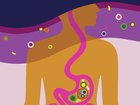 Scientists keep learning more about the connection between the brain and the gastrointestinal system. (Kari Modén/The New York Times) — FOR EDITORIAL USE ONLY WITH  SCI GUT BRAIN CONNECTION BY CHRISTINA CARON FOR MAY 10, 2026. ALL OTHER USE PROHIBITED.