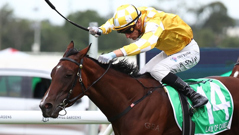 Blake Shinn riding  Lady Of Camelot wins Race 8 Golden Slipper