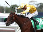 Blake Shinn riding  Lady Of Camelot wins Race 8 Golden Slipper