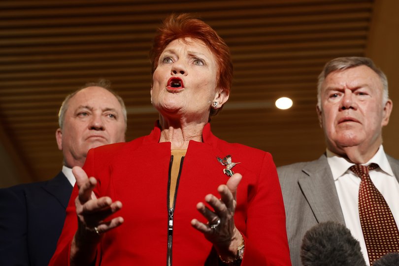 One Nation Leader Pauline Hanson.