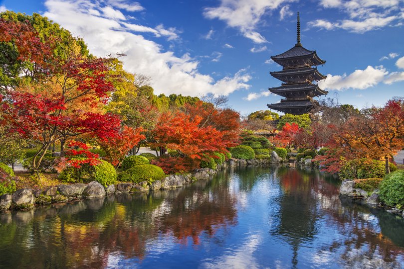Kyoto, Japan. Toji Pagoda during the fall season. The pagoda is the tallest in the country.