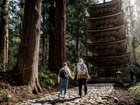  
Exploring Mount Haguro, Japan.