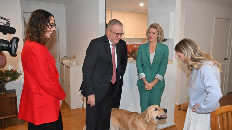 Prime Minister Anthony Albanese meets Pikelet, a Golden Retriever, at a home in Canberra purchased through a government-subsidised mortgage.