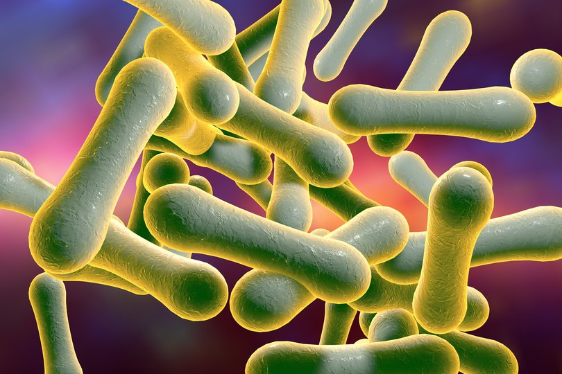 A person in the NT has become the first Australian to die from diphtheria since 2018.