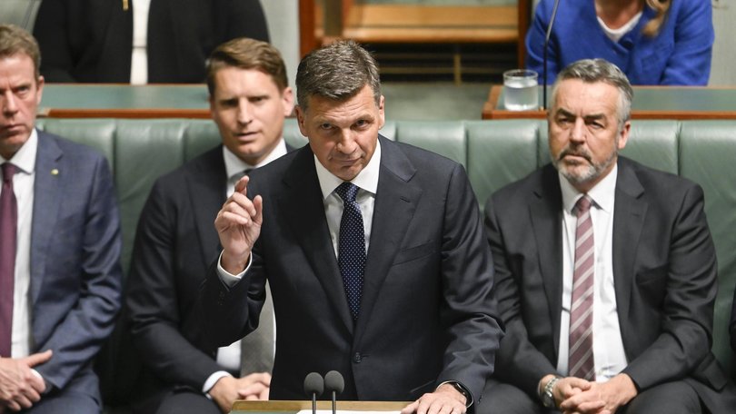 Opposition Leader Angus Taylor delivered his budget reply on Thursday. Picture: NewsWire / Martin Ollman