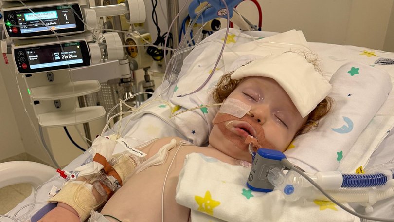 Toddler Dusty Wildman was in an induced coma and unable to breathe on his own after he inhaled metallic cake decorating powder that contained copper and zinc compounds. Picture: Go Fund Me