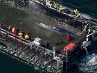 A whale nicknamed Timmy was earlier transported alive towards the North Sea by a private initiative. 
