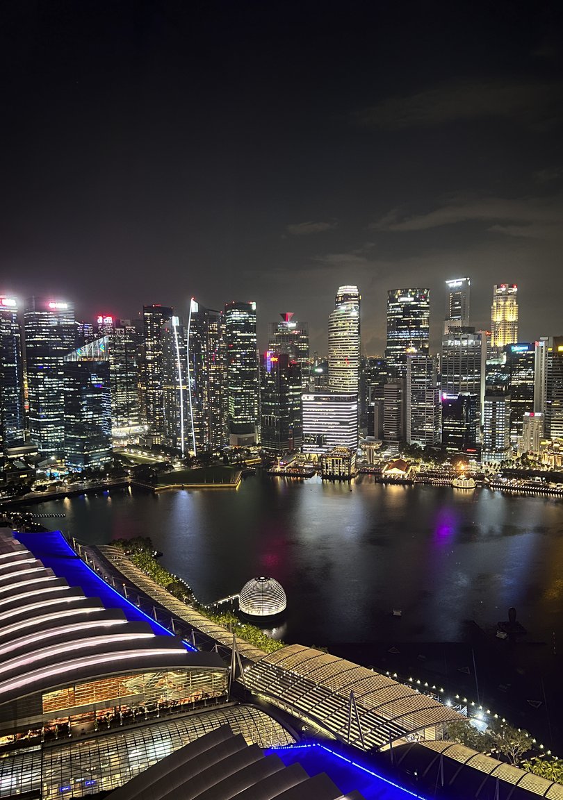 Singapore skyline seen from my Marina Bay Sands room on the 50th floor.