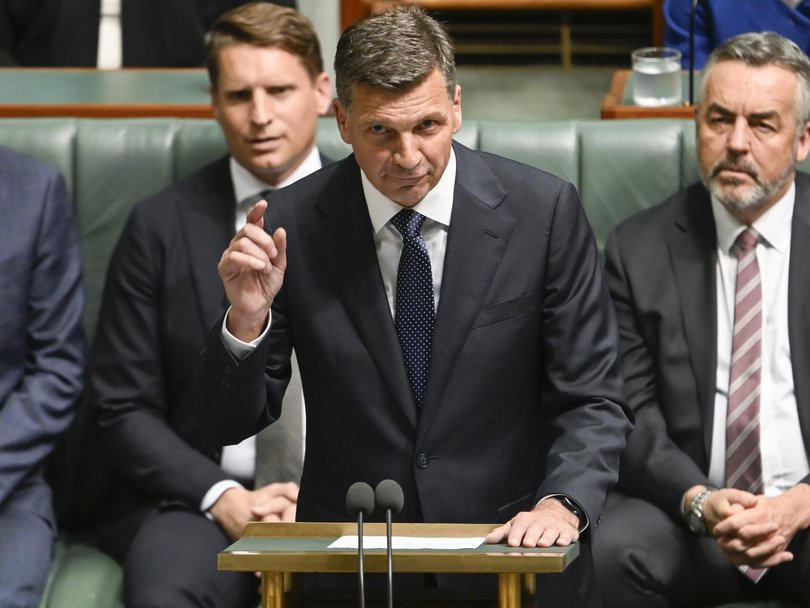 Opposition Leader Angus Taylor has pitched measures to reduce in the intake of overseas migration. Picture: NewsWire / Martin Ollman