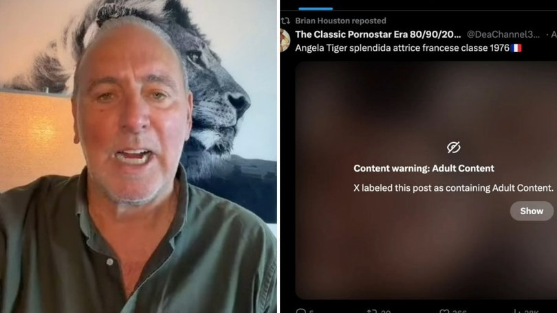 Hillsong founder Brian Houston has described a pornographic clip that briefly appeared on his social media account.