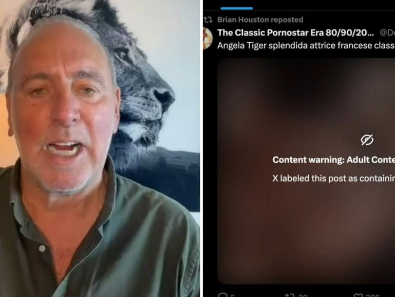 Hillsong founder Brian Houston has described a pornographic clip that briefly appeared on his social media account.