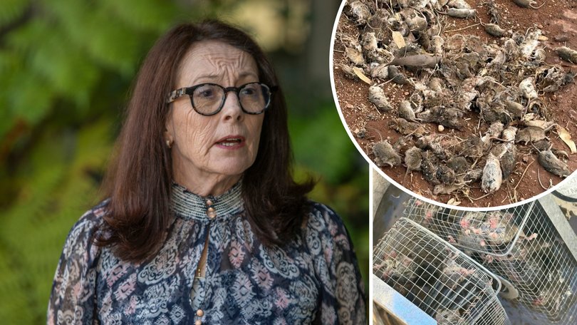 Morawa Shire president Karen Chappel is worried about the health risk to people due to the region's mouse plague.