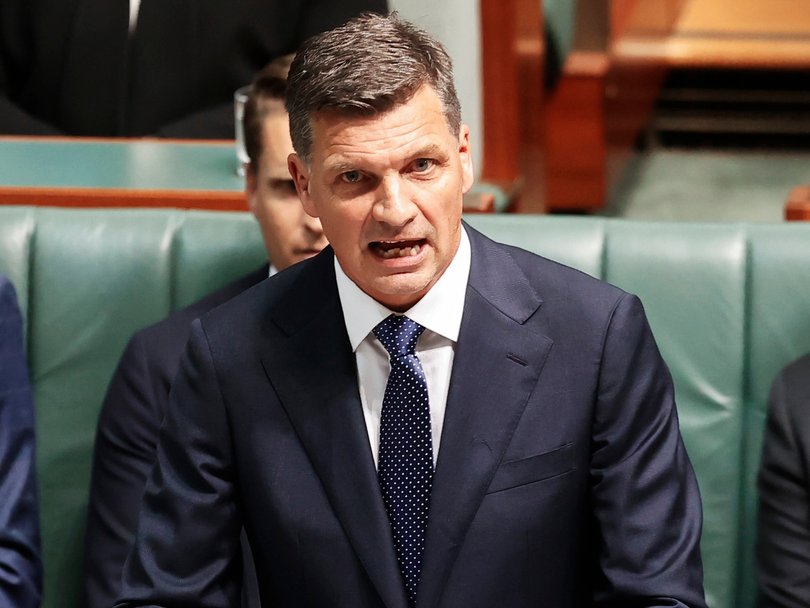 Opposition leader Angus Taylor said the Government was now the ‘business partner’ of every small business.