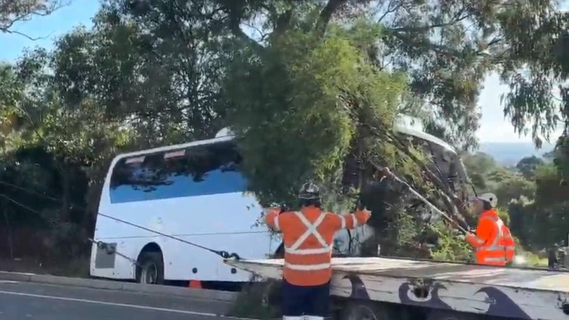 Emergency services were rushed to Erskine Park Road after a school bus left the road and crashed into a tree.