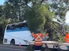 Emergency services were rushed to Erskine Park Road after a school bus left the road and crashed into a tree.