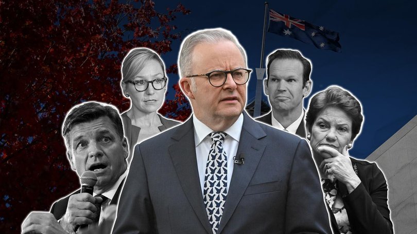 Opinion polling is showing a three-way split in votes for Labor, the Coalition and One Nation. 